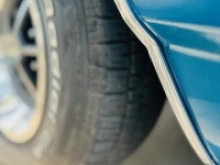 1969 Chevrolet Chevelle for sale in Michigan (ID-131316)