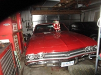 1969 Chevrolet Chevelle for sale in Michigan (ID-132762)