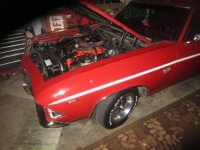 1969 Chevrolet Chevelle for sale in Michigan (ID-132762)