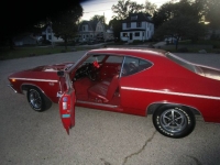 1969 Chevrolet Chevelle for sale in Michigan (ID-132762)