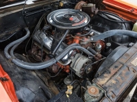 1969 Chevrolet Chevelle for sale in Riverhead, New York (ID-132811)