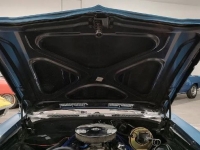 1969 Chevrolet Chevelle for sale (ID-114440)