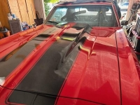 1969 Chevrolet Chevelle for sale in Michigan (ID-135295)