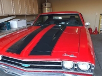 1969 Chevrolet Chevelle for sale in Michigan (ID-135295)