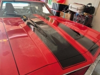 1969 Chevrolet Chevelle for sale in Michigan (ID-135295)