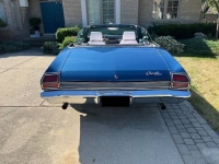 1969 Chevrolet Chevelle for sale in Michigan (ID-135879)
