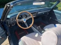 1969 Chevrolet Chevelle for sale in Michigan (ID-135879)