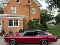 1969 Chevrolet Chevelle for sale in Michigan (ID-136707)