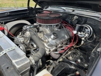 1969 Chevrolet Chevelle for sale in Michigan (ID-137698)