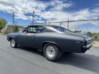 1969 Chevrolet Chevelle for sale in Michigan (ID-137698)