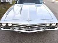 1969 Chevrolet Chevelle for sale in Michigan (ID-138269)