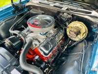 1969 Chevrolet Chevelle for sale in Michigan (ID-138410)