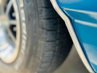 1969 Chevrolet Chevelle for sale in Michigan (ID-138410)