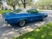 1969 Chevrolet Chevelle for sale in Michigan (ID-138410)