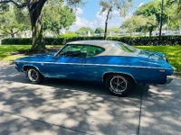 1969 Chevrolet Chevelle for sale in Michigan (ID-138410)
