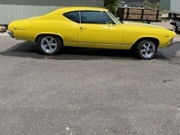 1969 Chevrolet Chevelle for sale in Michigan (ID-139543)