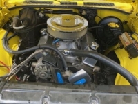 1969 Chevrolet Chevelle for sale in Michigan (ID-139543)