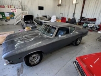 1969 Chevrolet Chevelle for sale in Michigan (ID-140278)