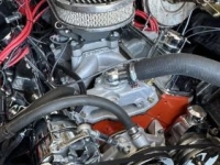 1969 Chevrolet Chevelle for sale in Michigan (ID-140278)