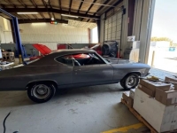 1969 Chevrolet Chevelle for sale in Michigan (ID-140278)