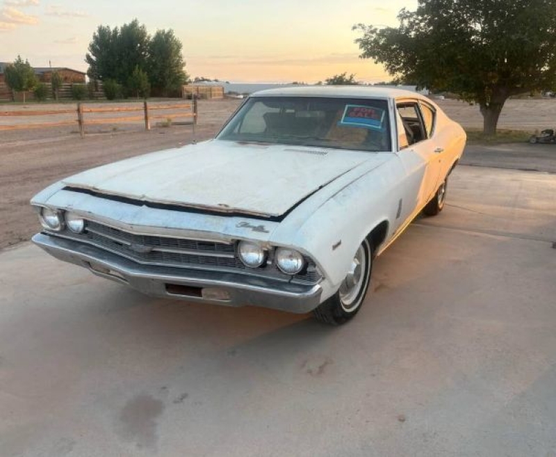1969 Chevrolet Chevelle for sale in Michigan (ID-143656)