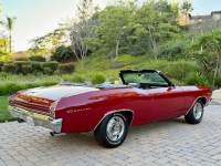 1969 Chevrolet Chevelle for sale in Michigan (ID-144576)