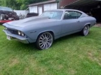1969 Chevrolet Chevelle for sale in Michigan (ID-145374)