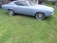 1969 Chevrolet Chevelle for sale in Michigan (ID-145374)