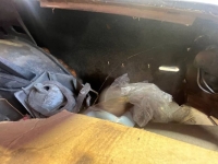 1969 Chevrolet Chevelle for sale in Michigan (ID-146231)