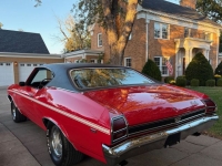 1969 Chevrolet Chevelle for sale in Michigan (ID-146401)