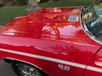 1969 Chevrolet Chevelle for sale in Michigan (ID-146401)