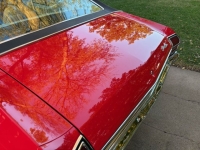 1969 Chevrolet Chevelle for sale in Michigan (ID-146401)