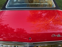 1969 Chevrolet Chevelle for sale in Michigan (ID-146401)