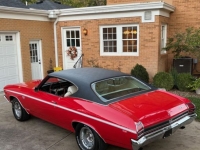 1969 Chevrolet Chevelle for sale in Michigan (ID-146401)