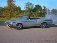 1969 Chevrolet Chevelle for sale in Riverhead, New York (ID-146520)