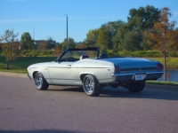 1969 Chevrolet Chevelle for sale (ID-146544)