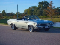 1969 Chevrolet Chevelle for sale (ID-146544)