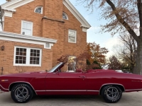 1969 Chevrolet Chevelle for sale in Michigan (ID-146681)