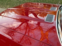 1969 Chevrolet Chevelle for sale in Michigan (ID-146681)