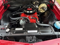 1969 Chevrolet Chevelle for sale in Michigan (ID-146681)