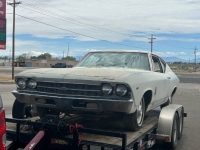 1969 Chevrolet Chevelle for sale in Michigan (ID-154745)
