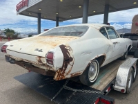 1969 Chevrolet Chevelle for sale in Michigan (ID-154745)