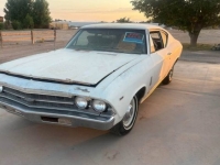 1969 Chevrolet Chevelle for sale in Michigan (ID-154745)