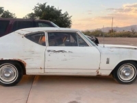 1969 Chevrolet Chevelle for sale in Michigan (ID-154745)