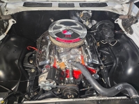 1969 Chevrolet Chevelle for sale in Riverhead, New York (ID-156088)