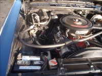 1969 Chevrolet Chevelle for sale in Michigan (ID-161052)