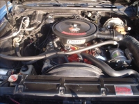 1969 Chevrolet Chevelle for sale in Michigan (ID-161052)