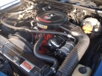 1969 Chevrolet Chevelle for sale in Michigan (ID-161841)