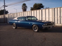 1969 Chevrolet Chevelle for sale in Michigan (ID-161841)
