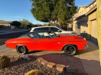 1969 Chevrolet Chevelle for sale in Michigan (ID-162955)